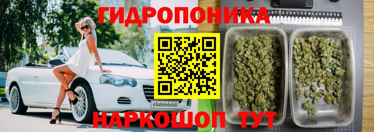 Каннабис сатива Лысьва